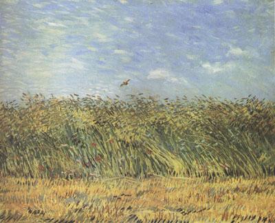 Vincent Van Gogh Wheat Field with a Lark (nn04) France oil painting art